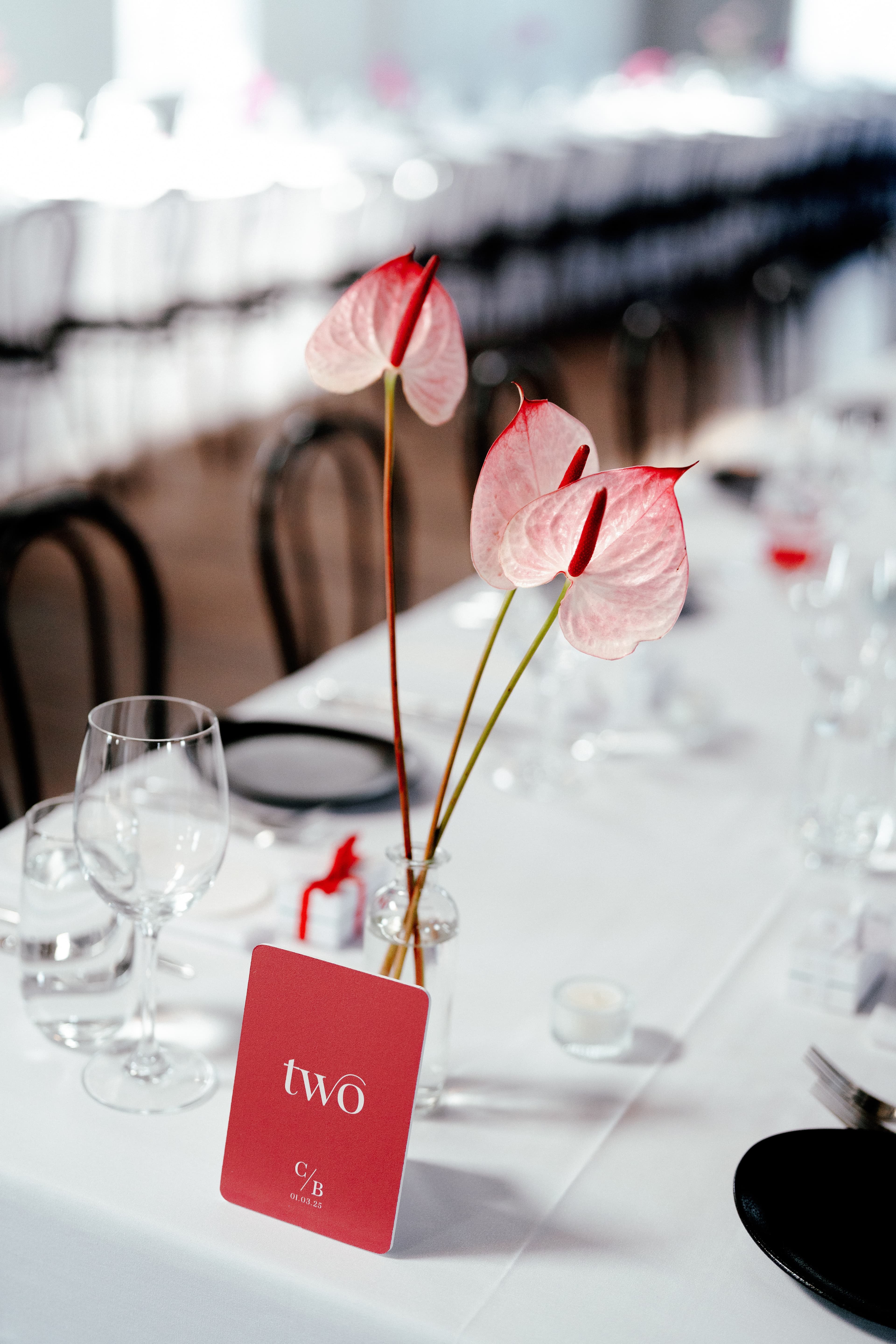 Ciara Wedding Details